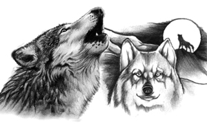 Вовки-сіроманці